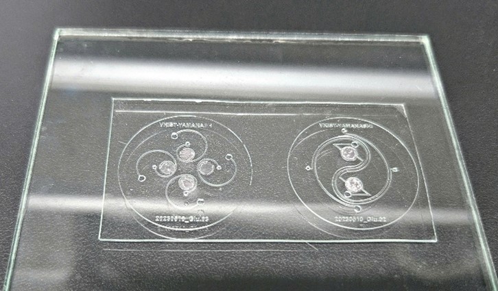 picture3