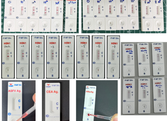 VKIST phát triển nền tảng que thử nhanh thế hệ mới