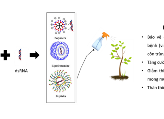 Chế phẩm sinh học ứng dụng công nghệ nano thay thế cho thuốc trừ sâu hóa học